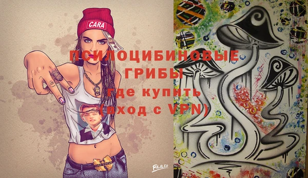 метадон Осташков