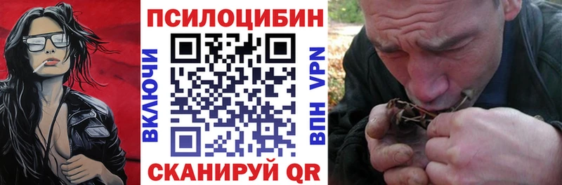 Галлюциногенные грибы MAGIC MUSHROOMS  Купить закладки  Ужур 